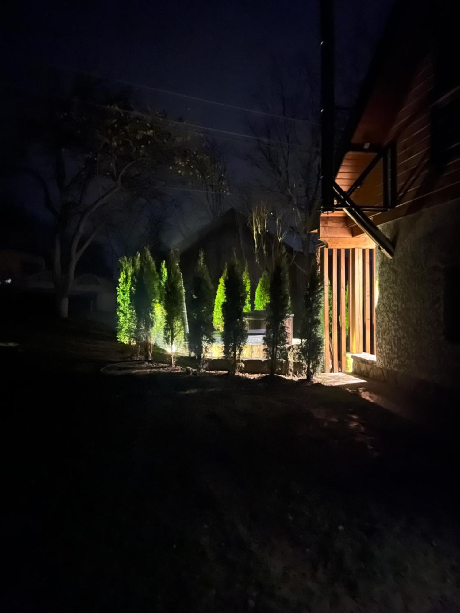 Cottage Familiya Verkhovyna Dış mekan fotoğraf
