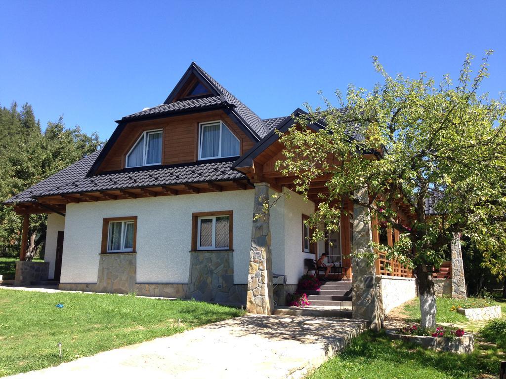 Cottage Familiya Verkhovyna Dış mekan fotoğraf