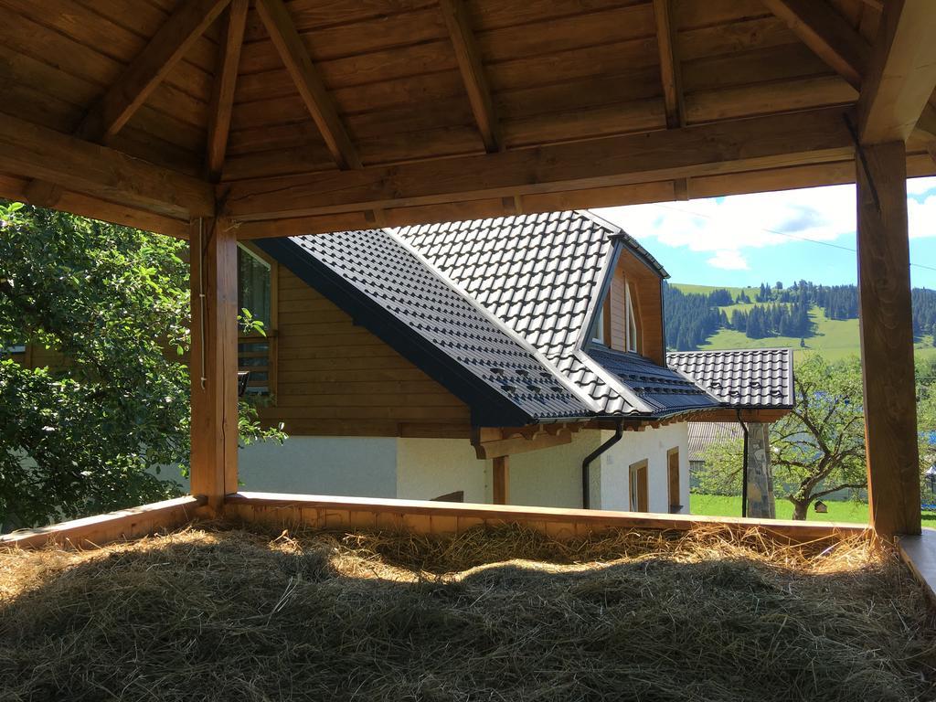 Cottage Familiya Verkhovyna Dış mekan fotoğraf